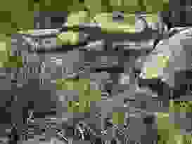 Nambucca Heads 31 Nambucca Heads 31