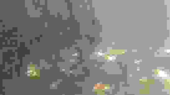 Wurzeln Im Wasser Wurzeln Im Wasser