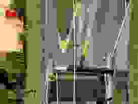 Rollingstone 1 Rollingstone 1