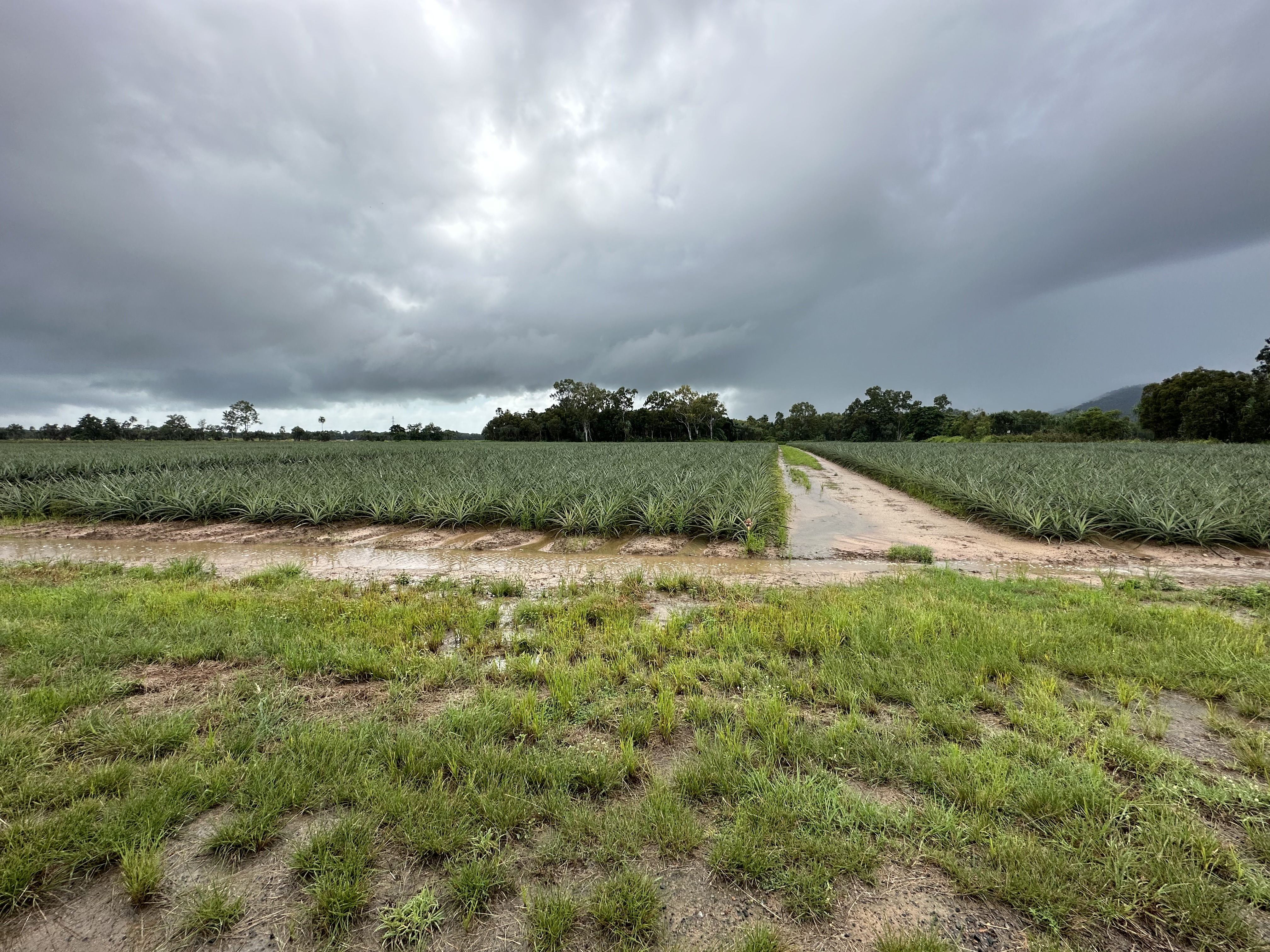 Unterwegs Nach Rollingstone 7