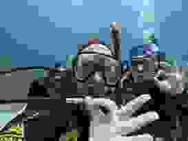 Great Barrier Reef 9 Great Barrier Reef 9