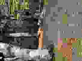 Finde Karli Finde Karli