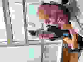 Flug NH 135 8 Flug NH 135 8