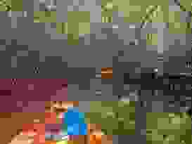 Durchs Tunnel Mit Wurzeln Durchs Tunnel Mit Wurzeln