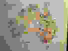 Australian Museum 1 Australian Museum 1