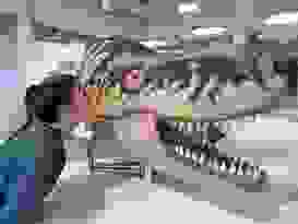 Spannendes Dinoauge Spannendes Dinoauge