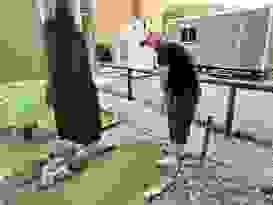 Cape Hillsborough 38 Cape Hillsborough 38