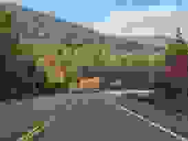 Bunte Wälder Bunte Wälder