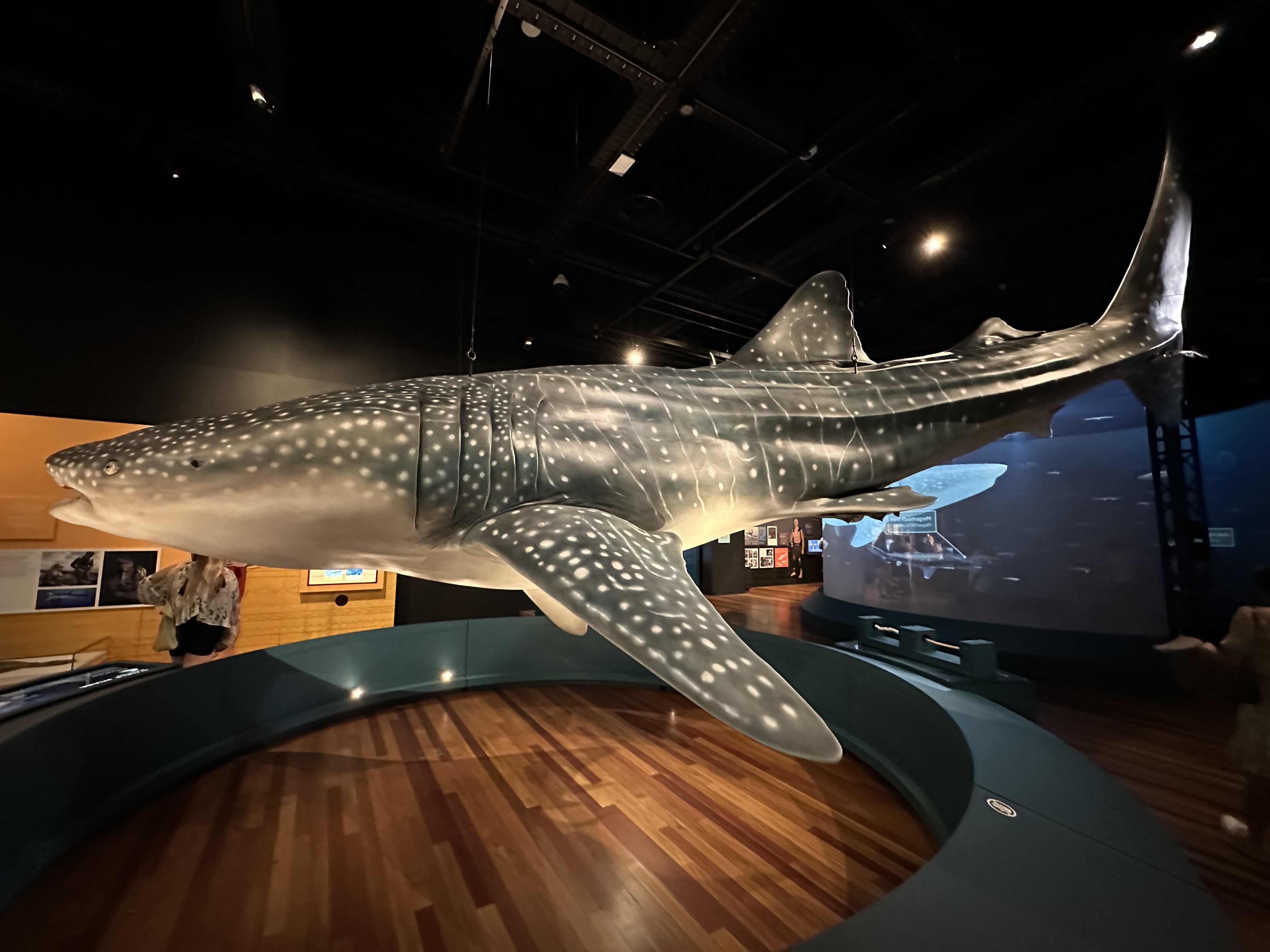 Letzte Tage In Sydney 23