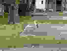 Airlie Beach 1 Airlie Beach 1