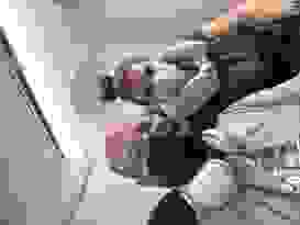 Flug NH 135 5 Flug NH 135 5