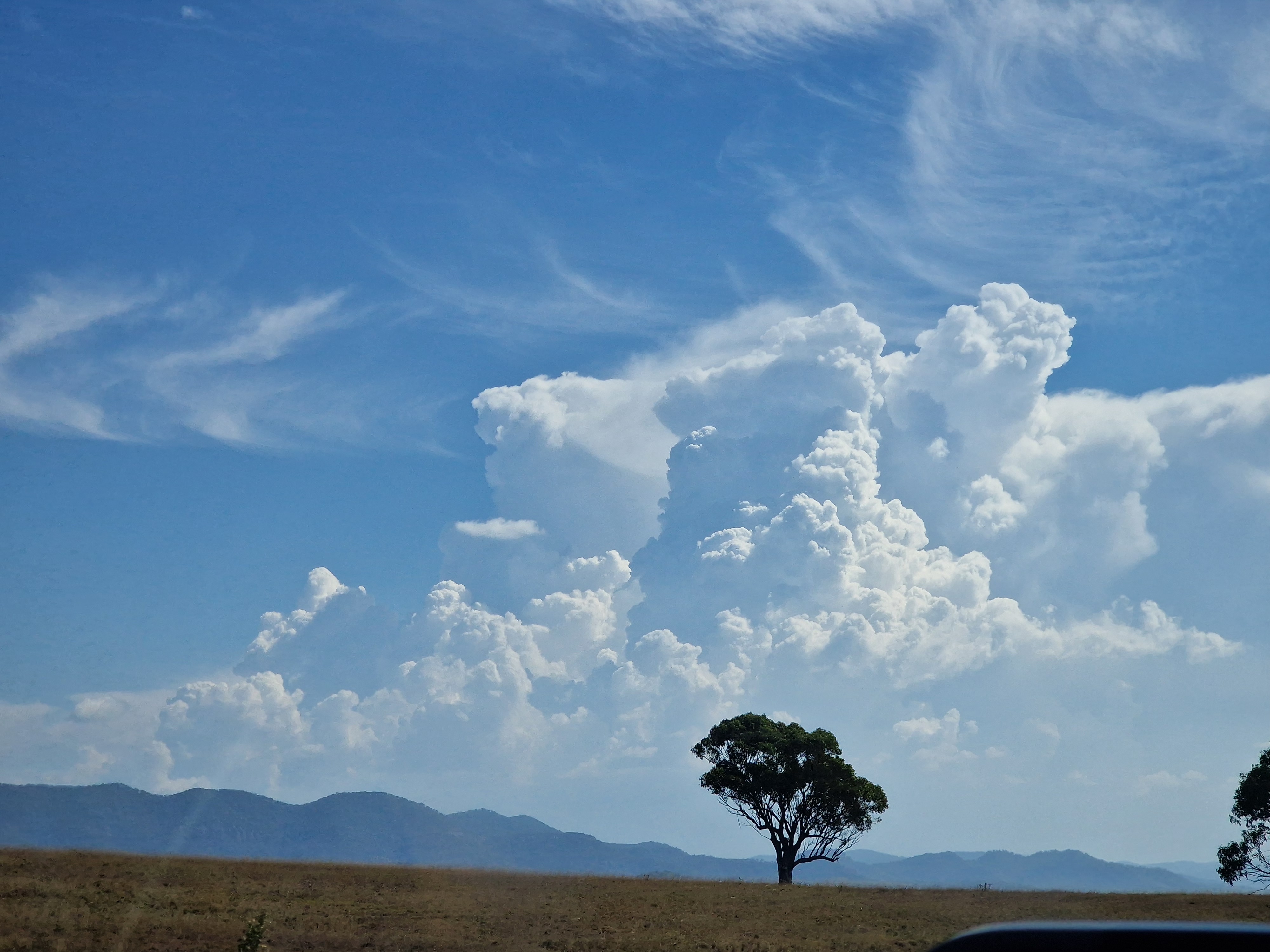 Unterwegs Nach Denman 9