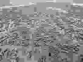 Cape Hillsborough 34 Cape Hillsborough 34