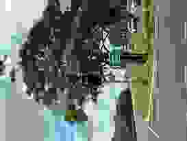 Letzte Muggerli Fahrt 11 Letzte Muggerli Fahrt 11