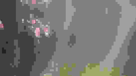 Mangroven Stehen Im Wasser Mangroven Stehen Im Wasser