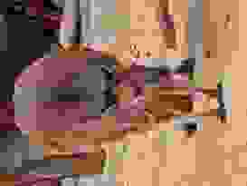 Wildlife Sydney Zoo 7 Wildlife Sydney Zoo 7