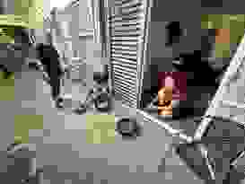 Fox Glacier 8 Fox Glacier 8