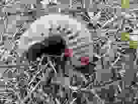 Clairview 10 Clairview 10