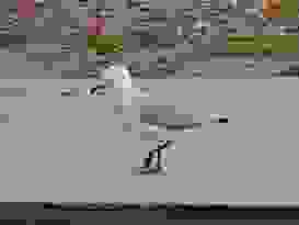 Clairview 1 Clairview 1