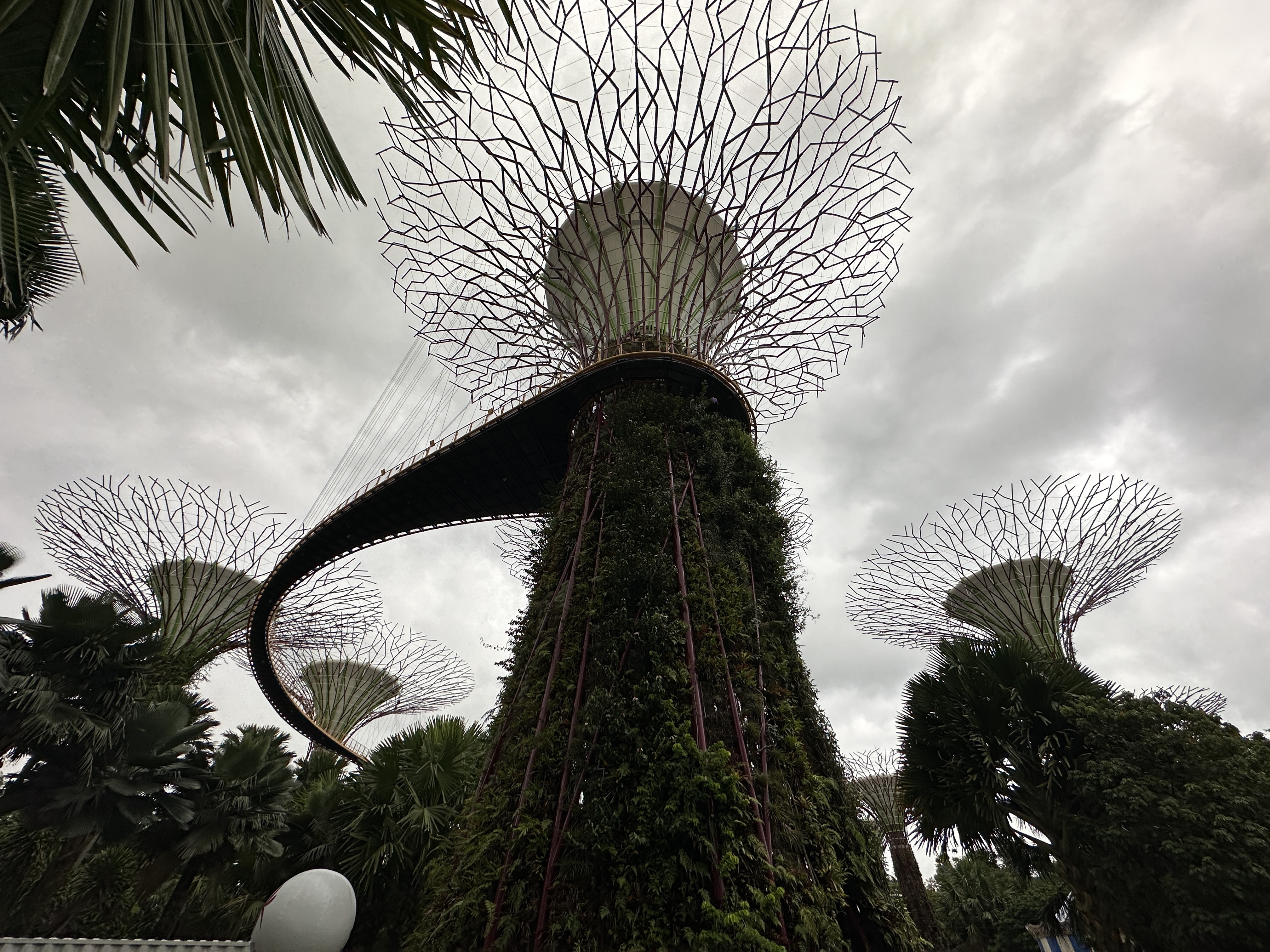 Gardens By The Bay 6