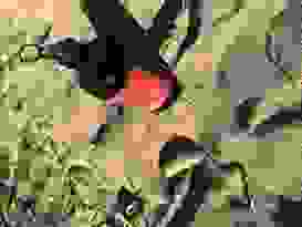 Clairview 5 Clairview 5