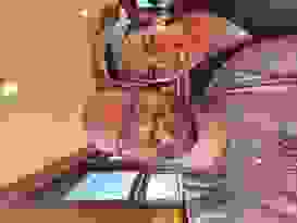 Kuranda 15 Kuranda 15