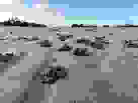 Clairview 8 Clairview 8