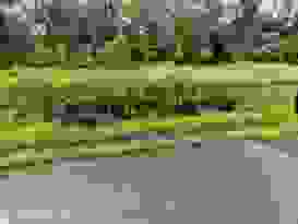 Rollingstone 3 Rollingstone 3