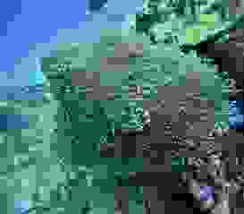 Tauchen 112 Tauchen 112