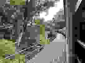 Kuranda 52 Kuranda 52