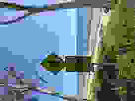 Letzte Muggerli Fahrt 3 Letzte Muggerli Fahrt 3