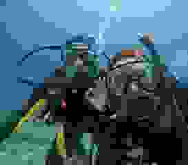 Tauchen 62 Tauchen 62