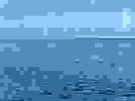 Great Barrier Reef 49 Great Barrier Reef 49