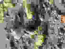 Clairview 6 Clairview 6