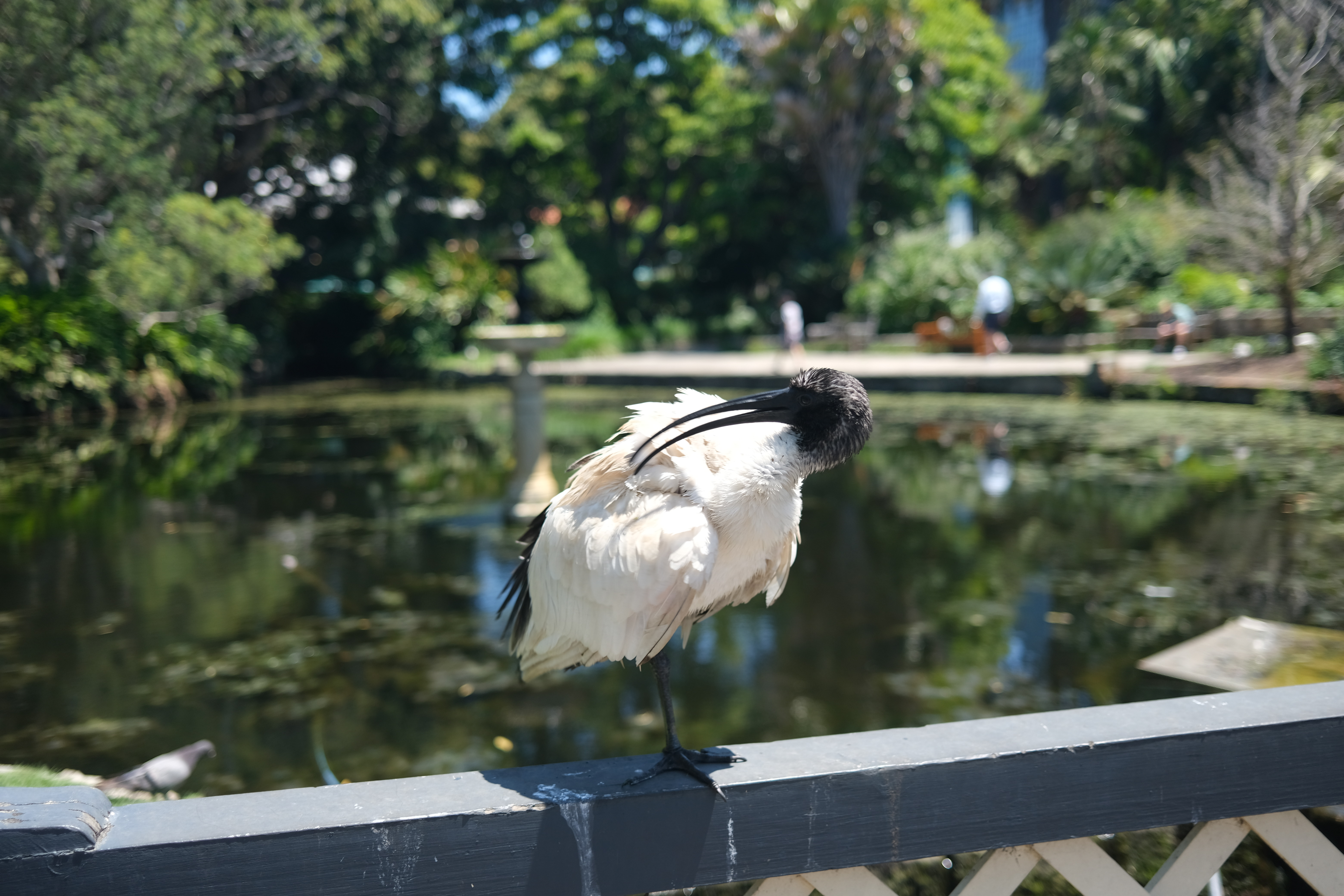 Botanischer Garten 7