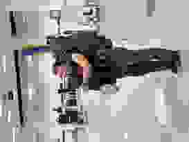 Mary vollgepackt Mary vollgepackt