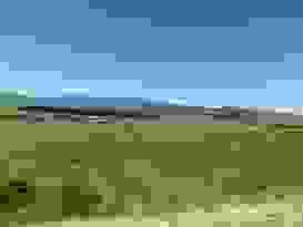 Richtung Milford Sound 6 Richtung Milford Sound 6